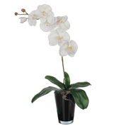 plante artificielle - phalaenopsis blanc -mica